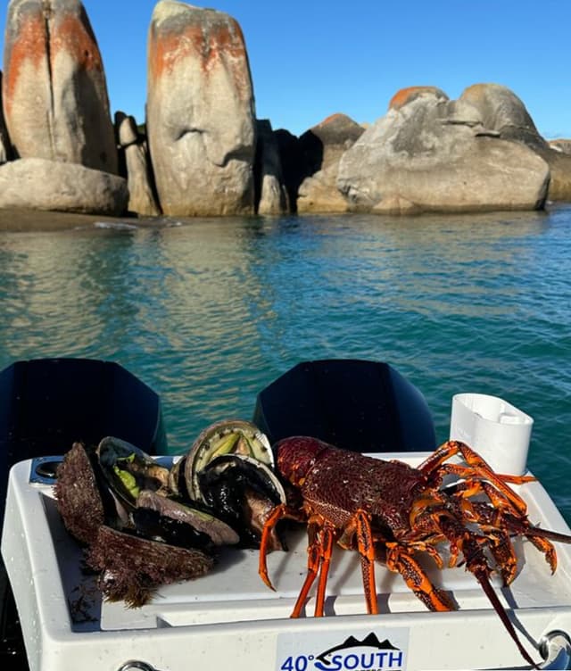 lobster