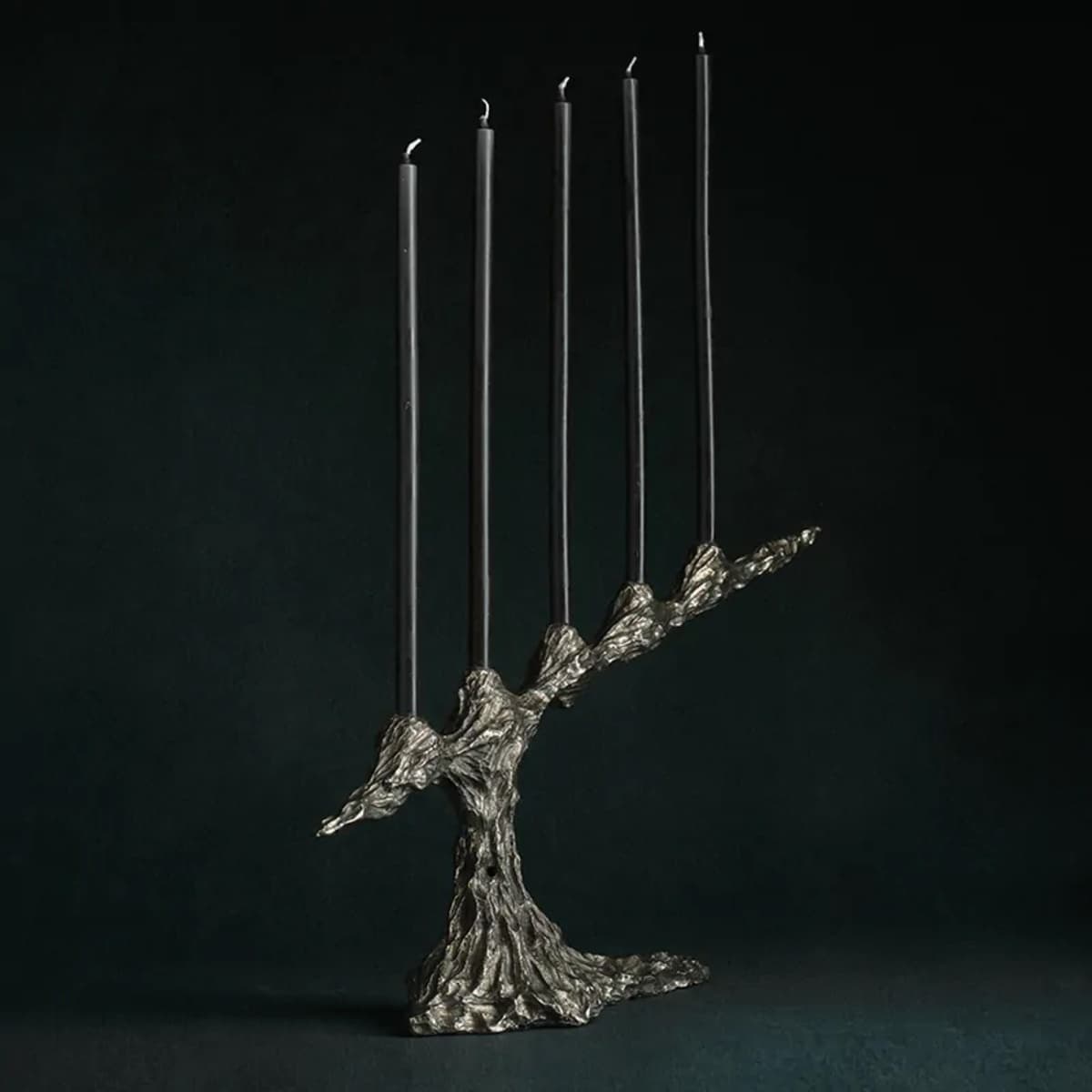 Omnia Vanitas - Vanité 9