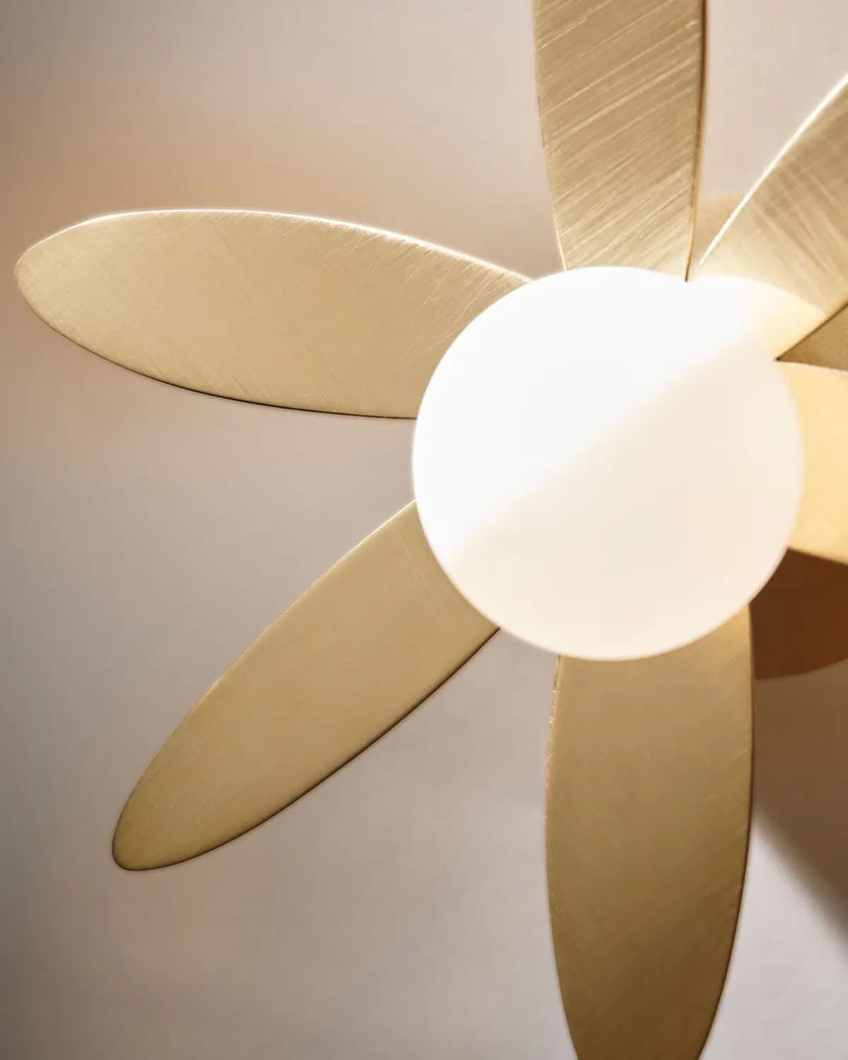 5f99e18c2de595b43e9fbe80513a8bac630b8782-4991x6239 copy.jpg