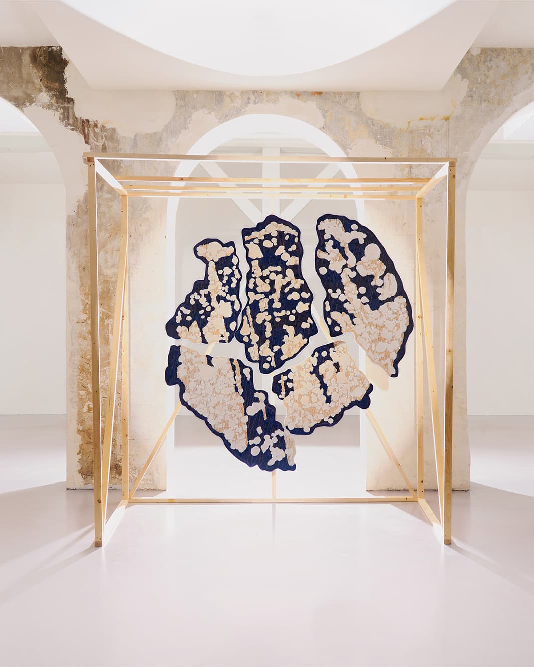 sophie-dries-slide-04 copy.jpg